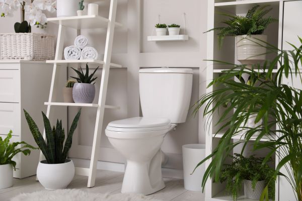 Cost of Toilet Repair in Reno