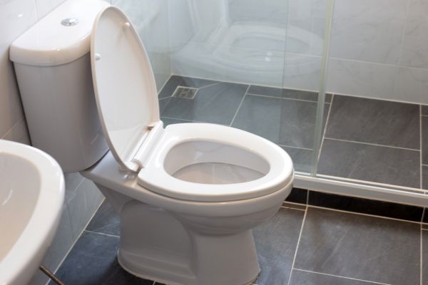 Toilet Replacement in Reno