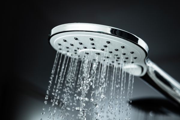 Cost of Shower Head Replacement in Reno