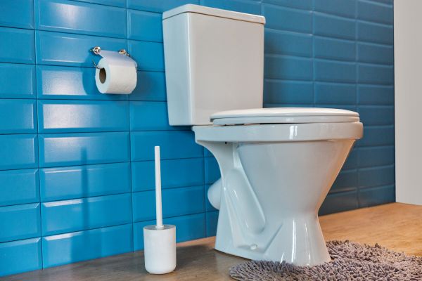 Cost of Toilet Tank Repair in Reno