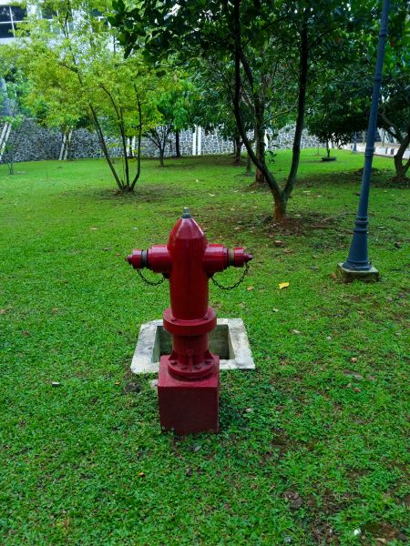 Ground Hydrant Installation in Reno