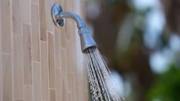 Cost of Showerhead Repair in Reno