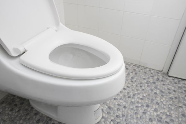 Cost of New Toilet Installation in Reno